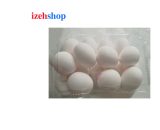 تخم مرغ بسته بندی 1 کیلوگرمی